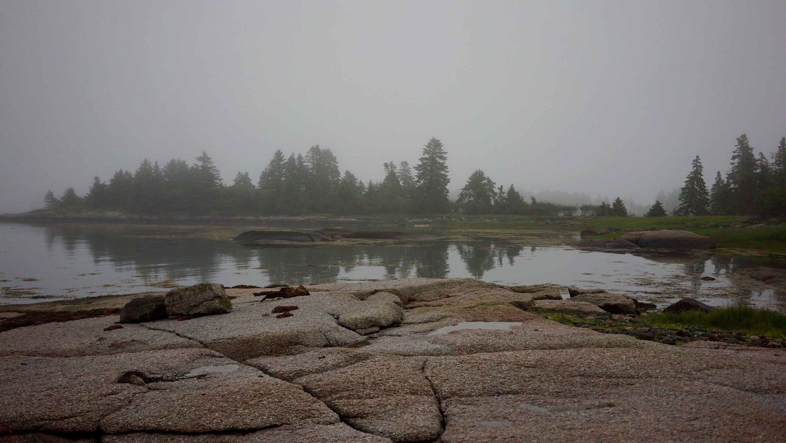 nk-fog.jpg